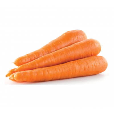 carrot