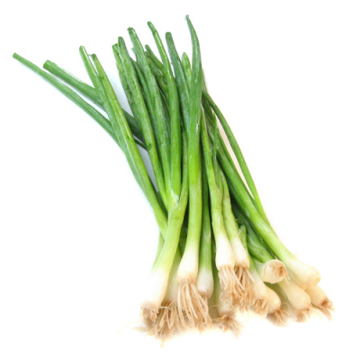 daun_bawang
