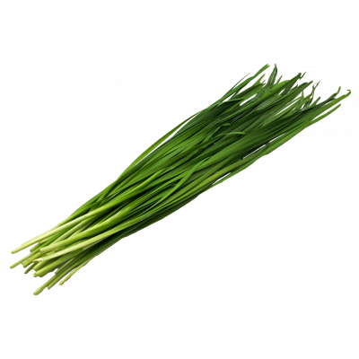 daun_kucai