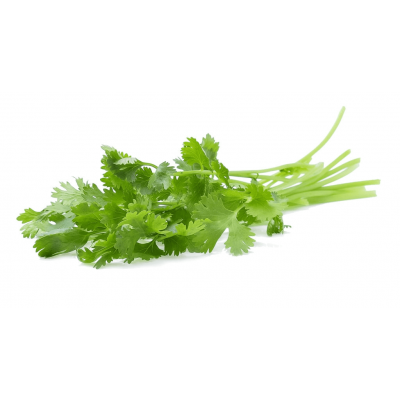 green_growers_coriander