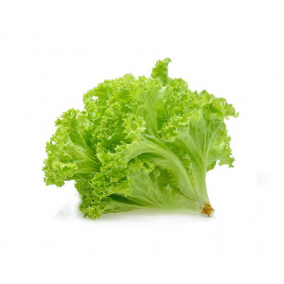 green_growers_green_coral