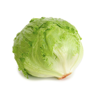 green_growers_iceberg_lettuce