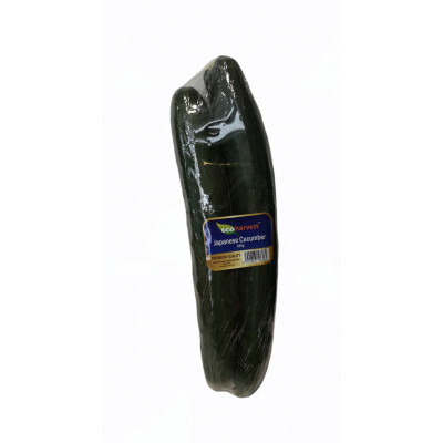 green_growers_japanese_cucumber
