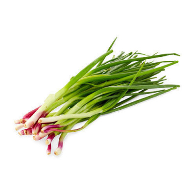 green_growers_spring_onion