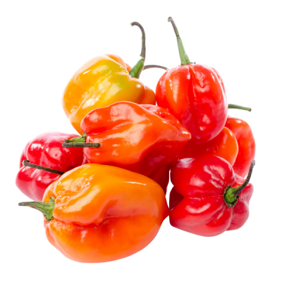 habanero_peppers_1_600x600_crop_center