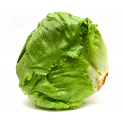 lettuce