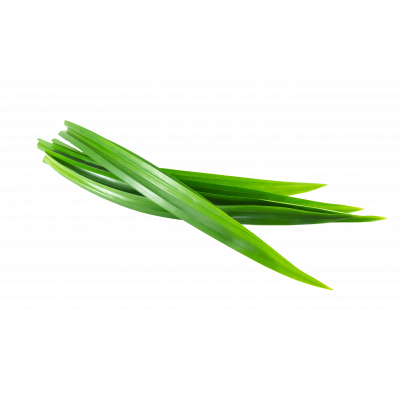 pandan