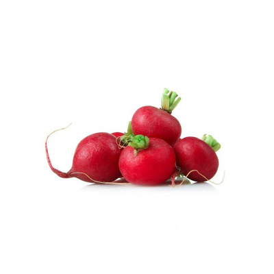 radish_red_holland