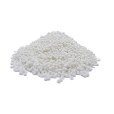 small_white_sago_seed