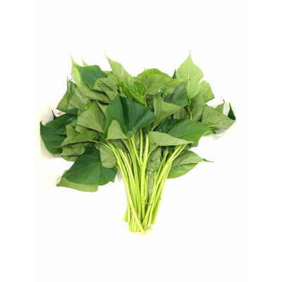 vv05_baby_sweet_potato_leaves___-800x800_346964800
