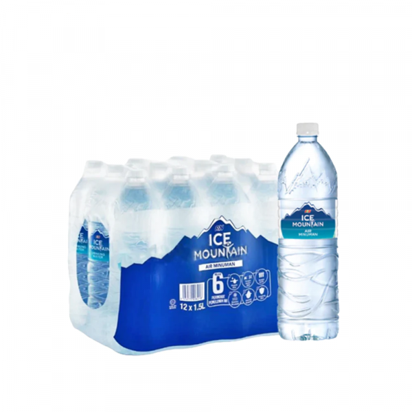 1_481919111