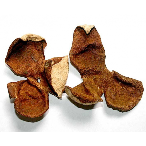 a98d203e6900b33f1f1053244cbc1d46