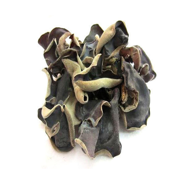 black_fungus_dried_aa