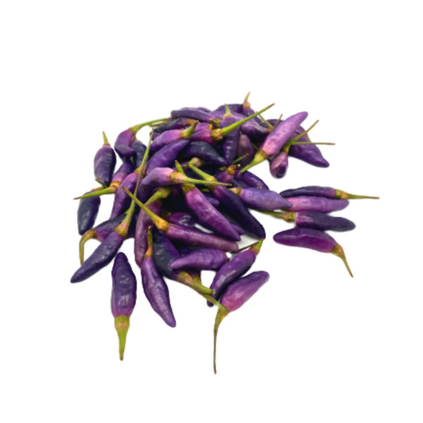 chili-padi-purple