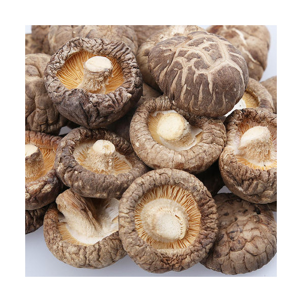 dried-shiitake-mushroom-50g-100g-200g-400g-dried-oyster-porcini-morel-boletus-lions-mane-black-fungus-wild-mushroom