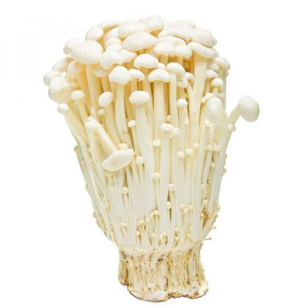 enoki