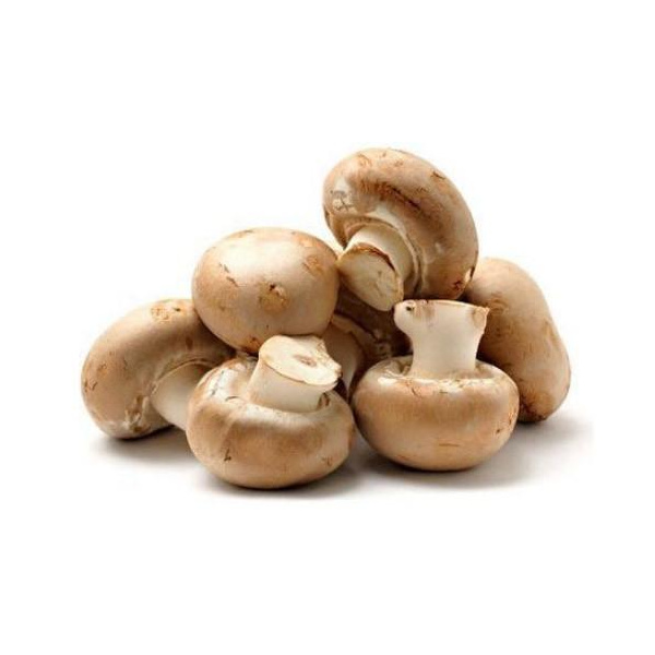 fresh-button-mushroom-500x5002x