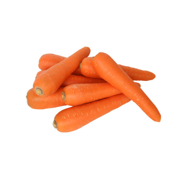 good-quality-fresh-carrot-from-china