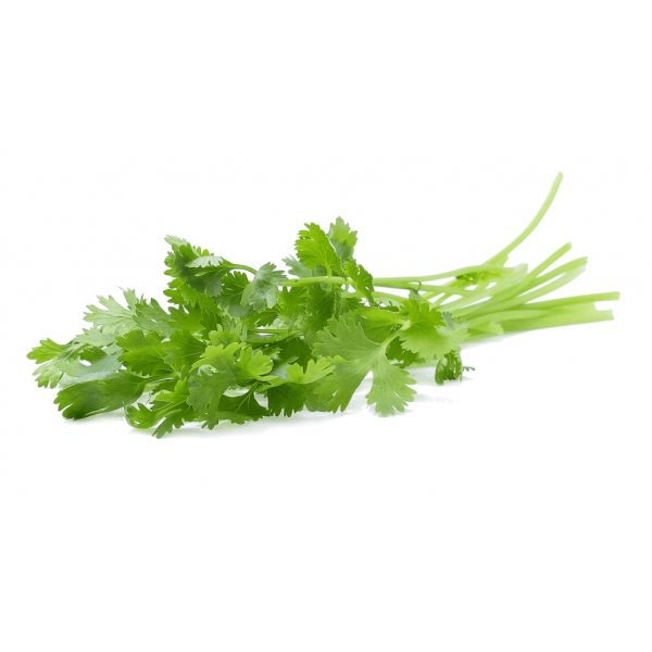 green_growers_coriander