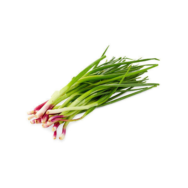 green_growers_spring_onion