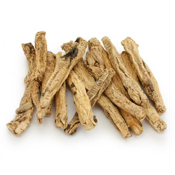 herb_codonopsis-root-01b