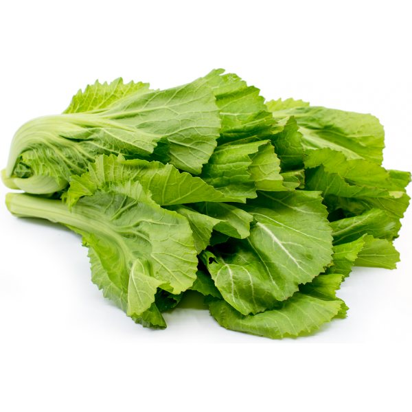 kai_choy