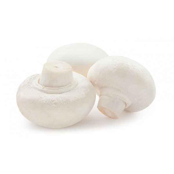 mushroom-varieties-calloutpage-whitebutton-660x390
