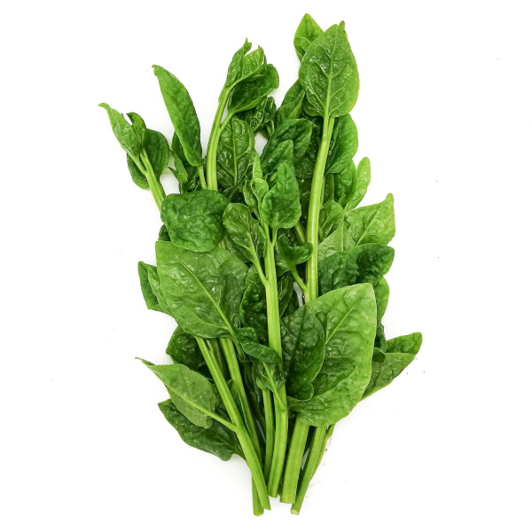new-zealand-spinach
