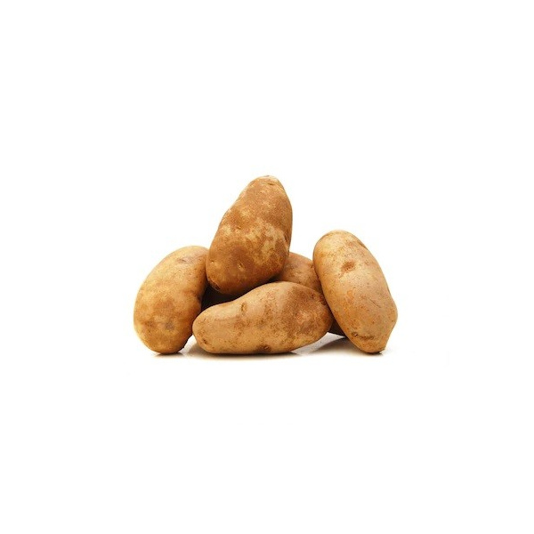 russet_potato