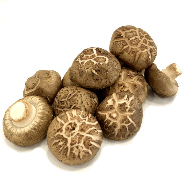 shitake