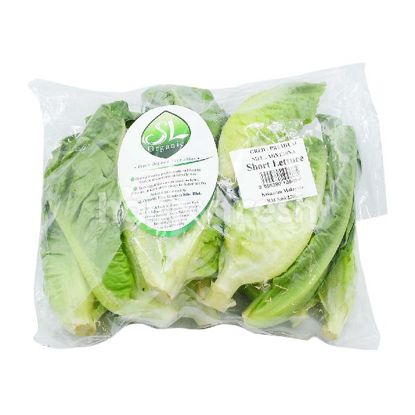 sl_short_lettuce