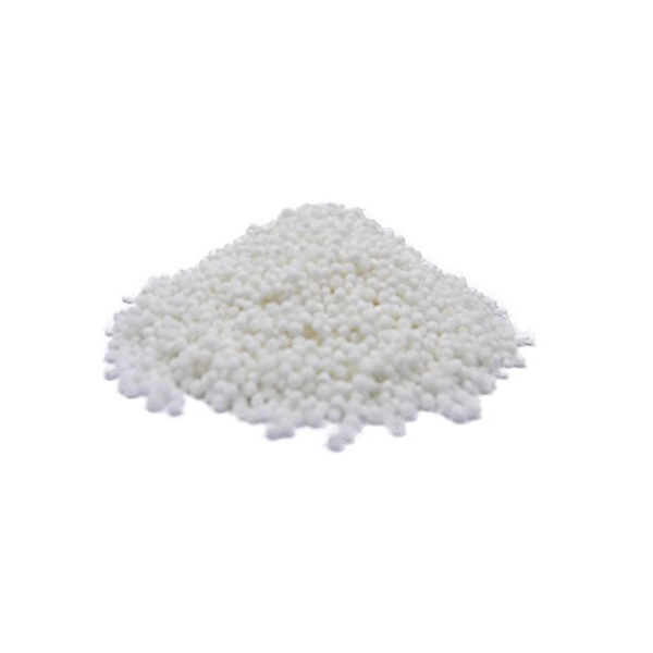 small_white_sago_seed
