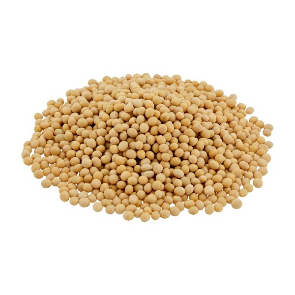 soya_bean