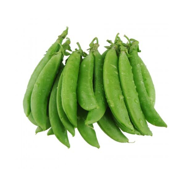 sweet-bean-500x5002x